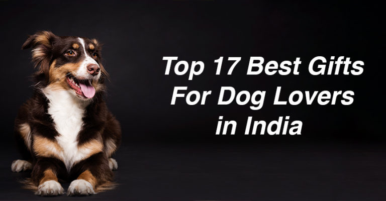 Top 17 Best Gifts For Dog Lovers in India (2023) || Pawsome Gifts